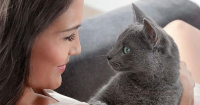Фотография: Ученые рассказали о секретном способе наладить контакт с кошкой №1 - BigPicture.ru