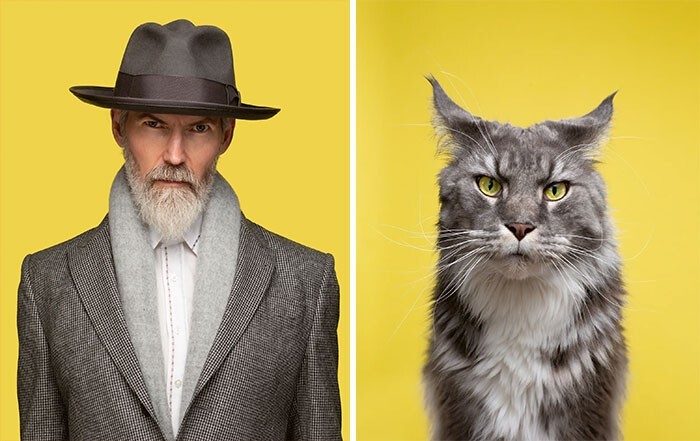 Фотография: 17 портретов кошек и людей, невероятно похожих друг на друга №5 - BigPicture.ru