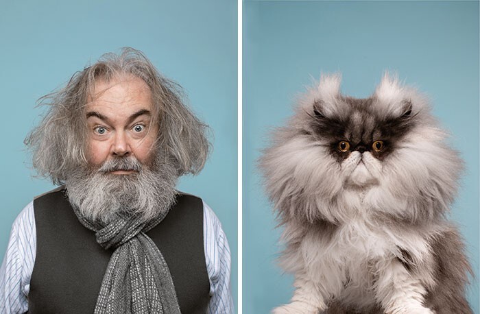 Фотография: 17 портретов кошек и людей, невероятно похожих друг на друга №10 - BigPicture.ru