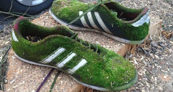 22 фото, которые доказывают, что чудеса существуют