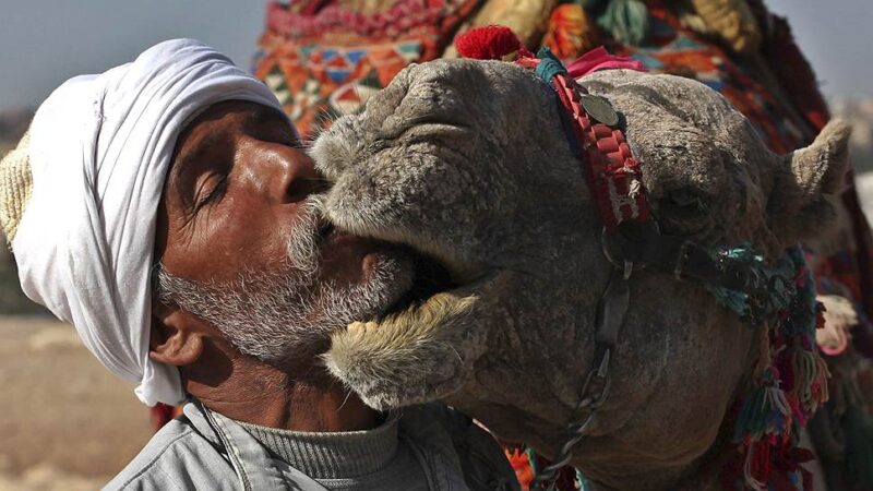 Фотография: 6 удивительных традиций поцелуев из разных уголков планеты №6 - BigPicture.ru