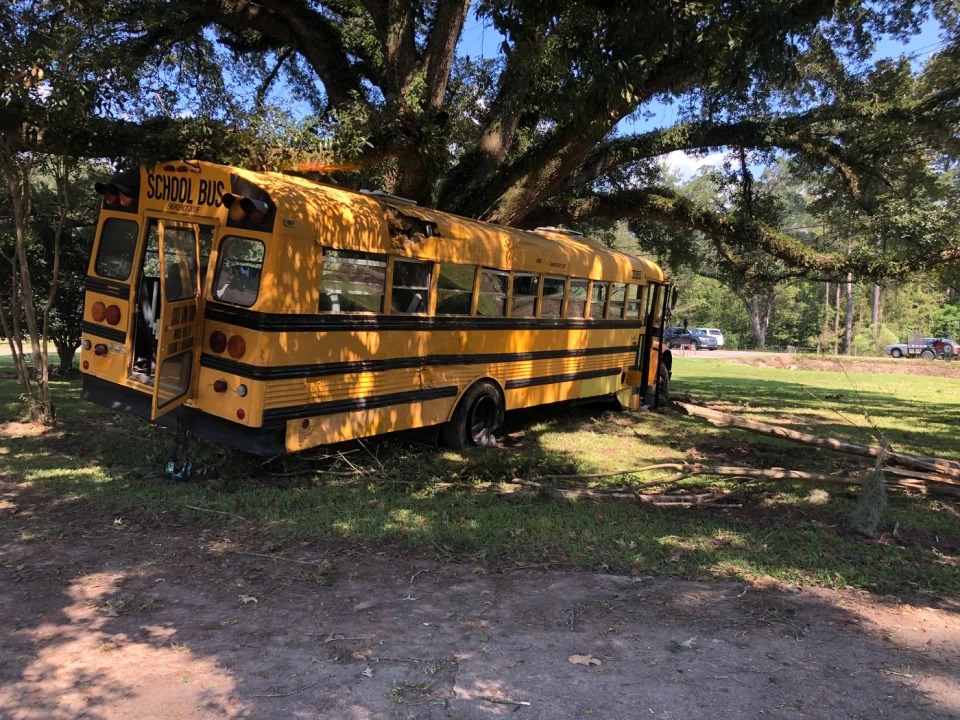 Фотография: В Луизиане 11-летний мальчик угнал школьный автобус и врезался на нем в дерево №1 - BigPicture.ru