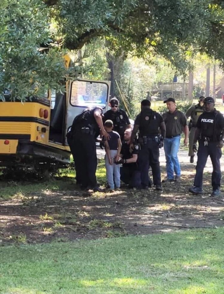 Фотография: В Луизиане 11-летний мальчик угнал школьный автобус и врезался на нем в дерево №5 - BigPicture.ru