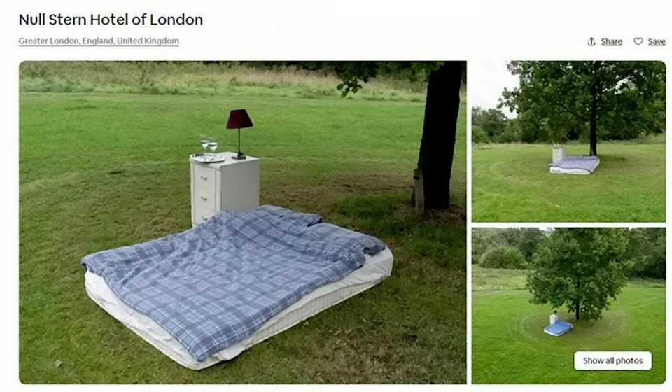 Фотография: Три товарища из Лондона разместили на Airbnb 