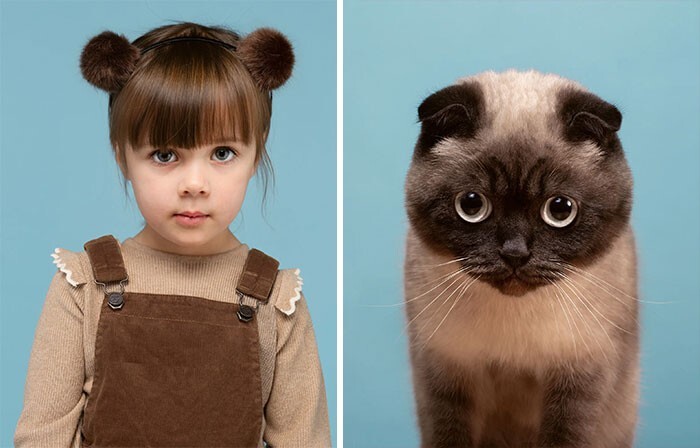 Фотография: 17 портретов кошек и людей, невероятно похожих друг на друга №3 - BigPicture.ru