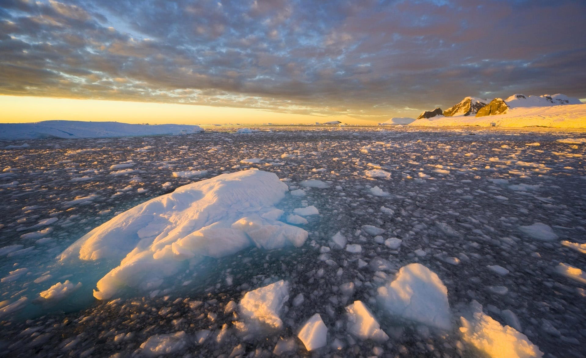 Фотография: 20 любопытных фактов об Антарктиде, которых вы не знали №14 - BigPicture.ru