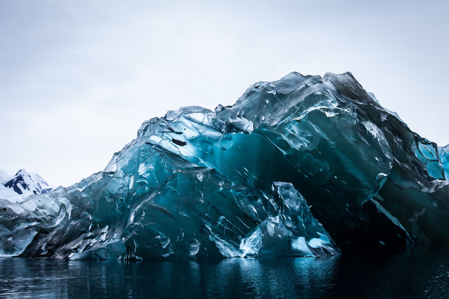 Фотография: 20 любопытных фактов об Антарктиде, которых вы не знали №15 - BigPicture.ru