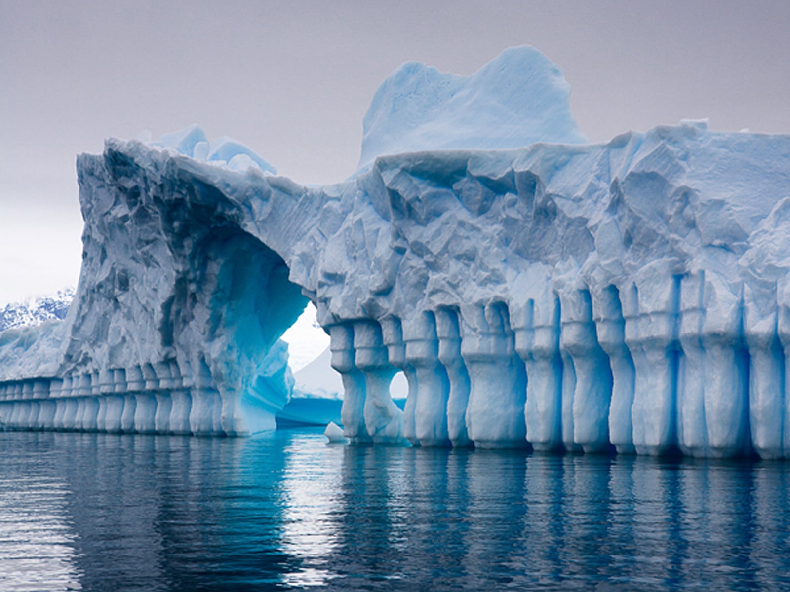 Фотография: 20 любопытных фактов об Антарктиде, которых вы не знали №4 - BigPicture.ru