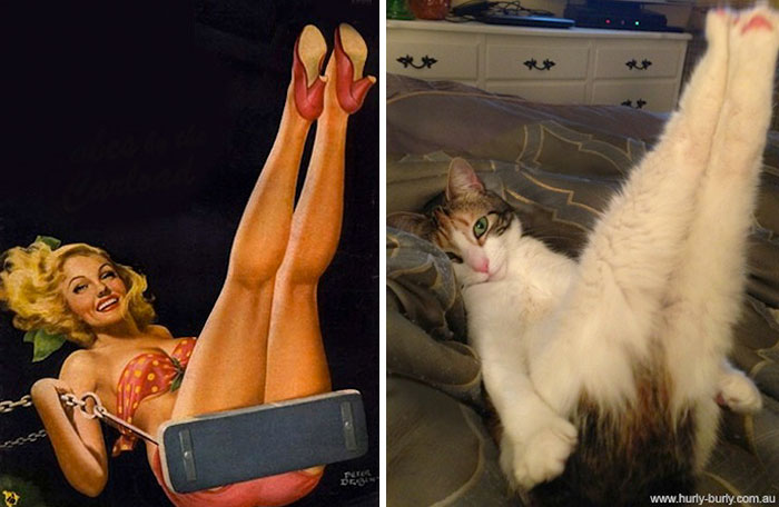 Bigpicture.ru Пин-ап-девушки против кошек  16