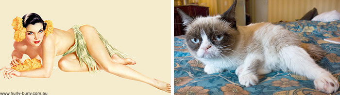 Bigpicture.ru Пин-ап-девушки против кошек  24
