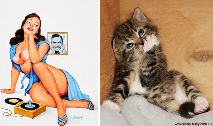 Bigpicture.ru Пин-ап-девушки против кошек  7