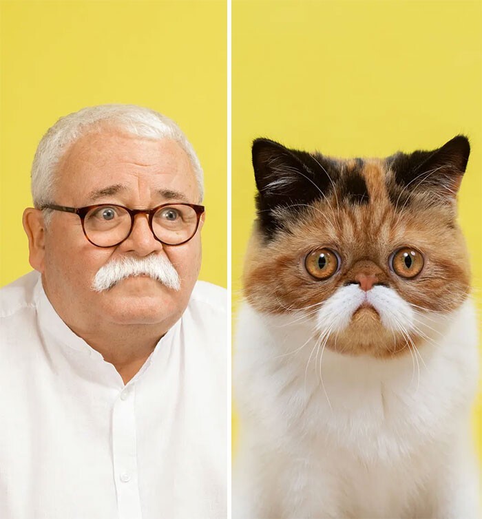 Фотография: 17 портретов кошек и людей, невероятно похожих друг на друга №18 - BigPicture.ru
