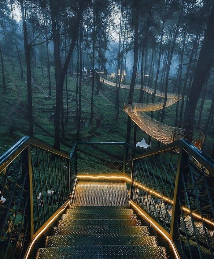 Фотография: Путешествуем онлайн: самый волшебный мост в Индонезии №5 - BigPicture.ru