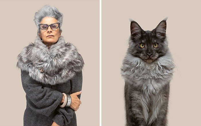 Фотография: 17 портретов кошек и людей, невероятно похожих друг на друга №4 - BigPicture.ru