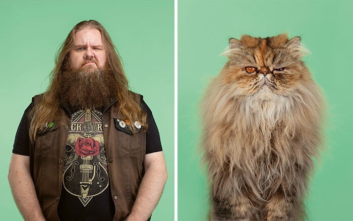 Фотография: 17 портретов кошек и людей, невероятно похожих друг на друга №2 - BigPicture.ru