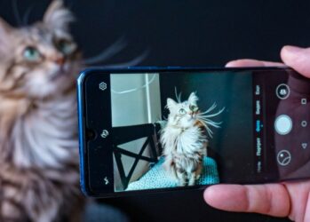 6 правил, которые помогут сделать отличный портрет на камеру телефона