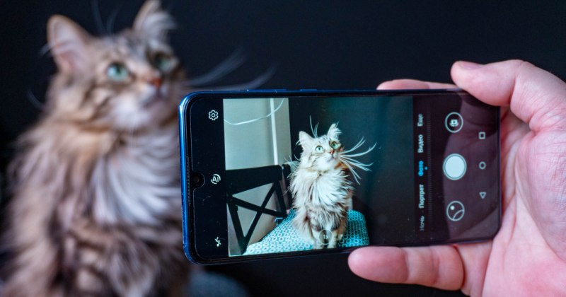 Фотография: 6 правил, которые помогут сделать отличный портрет на камеру телефона №1 - BigPicture.ru