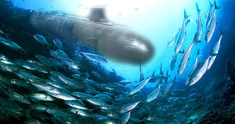 Фотография: Шведские военные 15 лет принимали пукающих селедок за советские субмарины №1 - BigPicture.ru