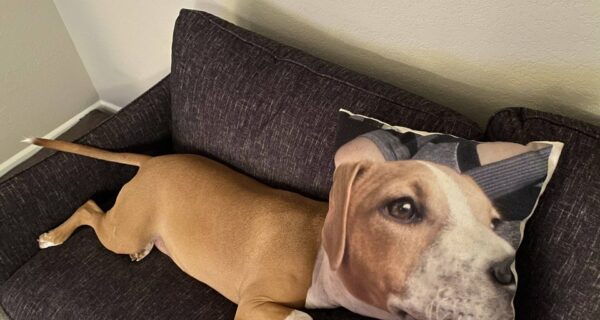 20 странных фотографий, о которые легко сломать глаза