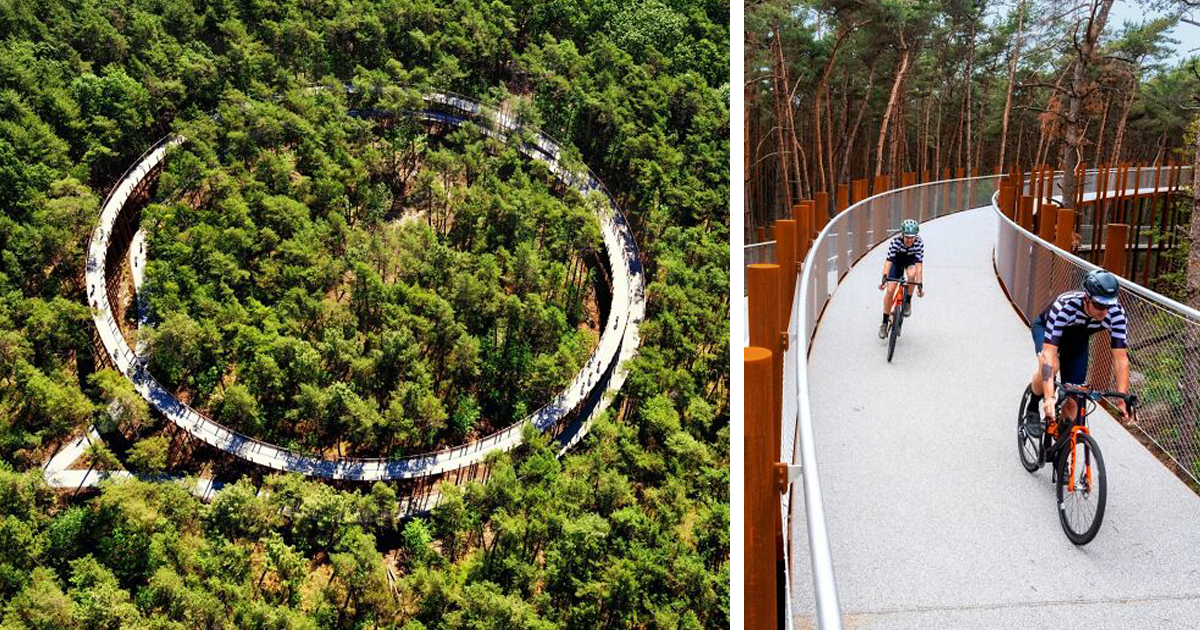 Фотография: Велодорожка в Бельгии позволяет прокатиться по лесу на высоте 10 метров над землей №1 - BigPicture.ru