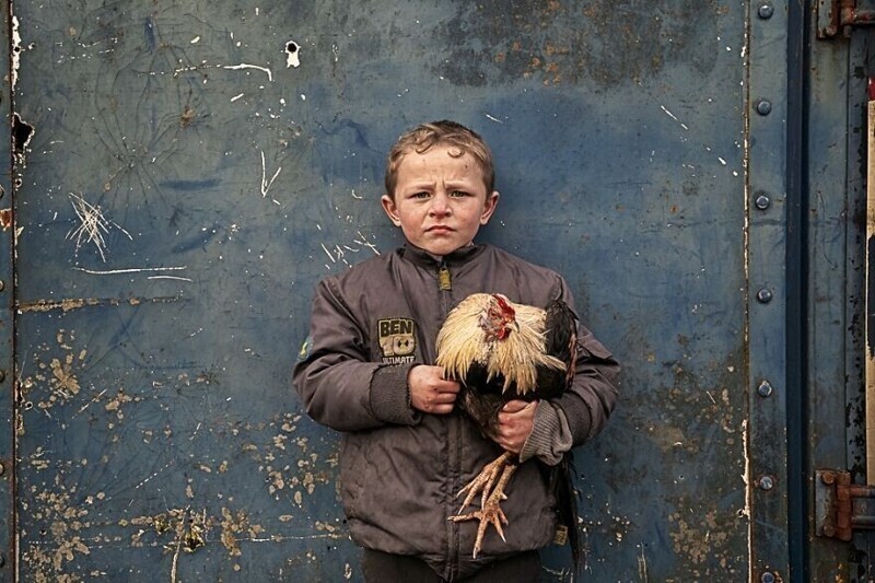 Фотография: 30 невероятных снимков от победителей конкурса International Photography Awards №23 - BigPicture.ru