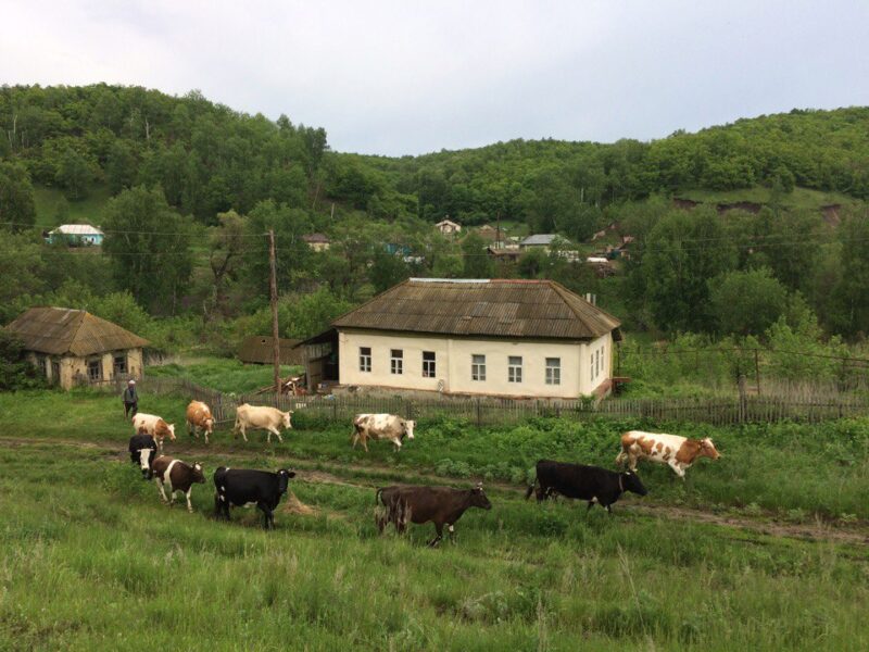 Фотография: Как жители российского села Лох успешно развивают у себя туризм №3 - BigPicture.ru
