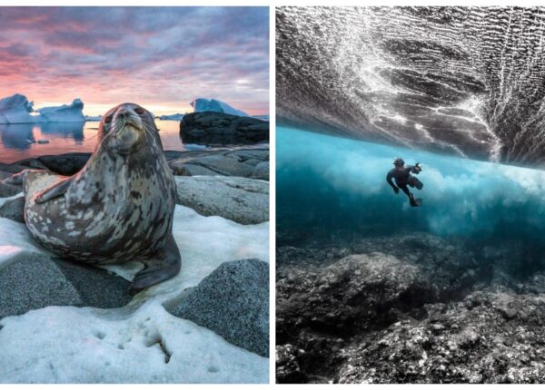 Красота и мощь океана на фотографиях победителей конкурса Ocean Photography Awards