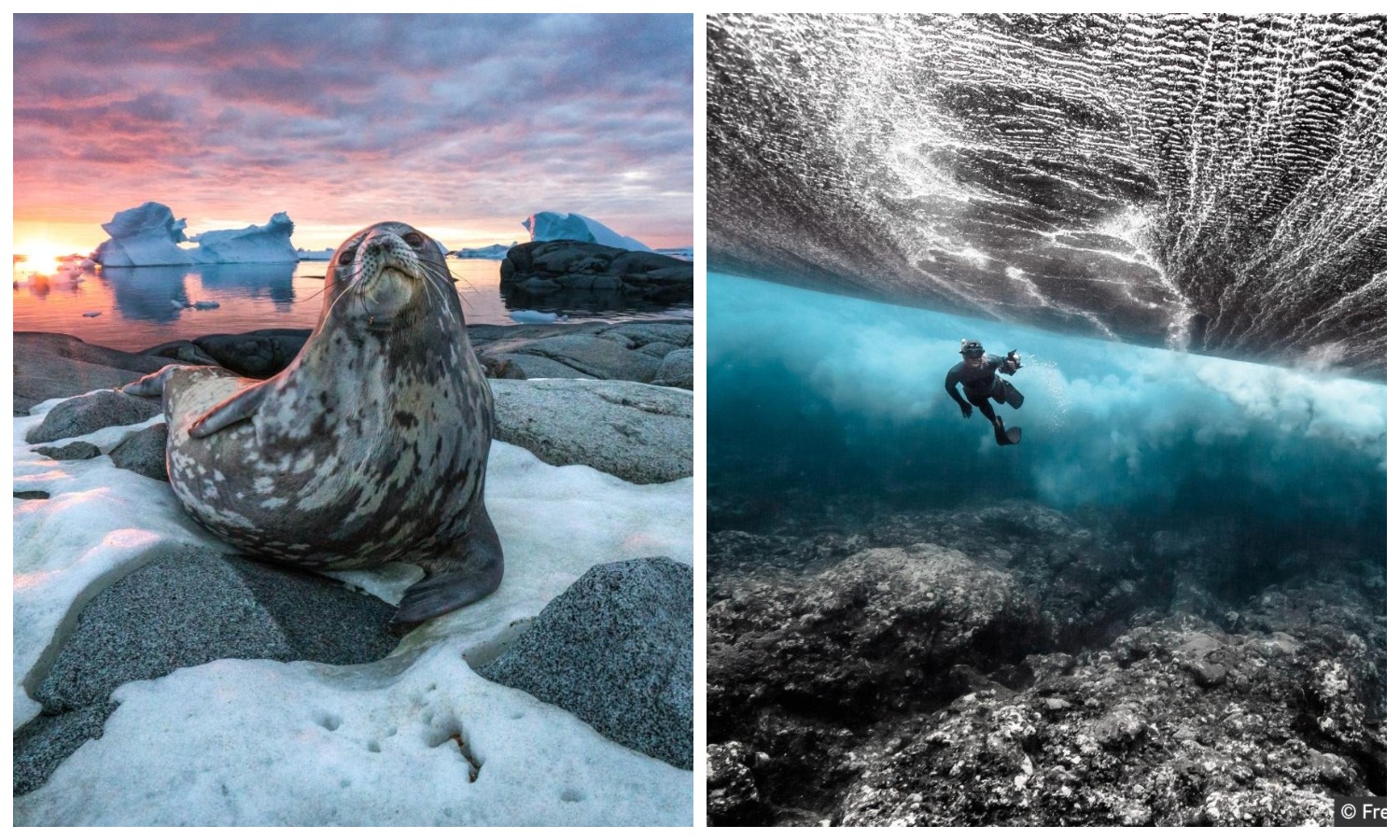 Фотография: Красота и мощь океана на фотографиях победителей конкурса Ocean Photography Awards №1 - BigPicture.ru