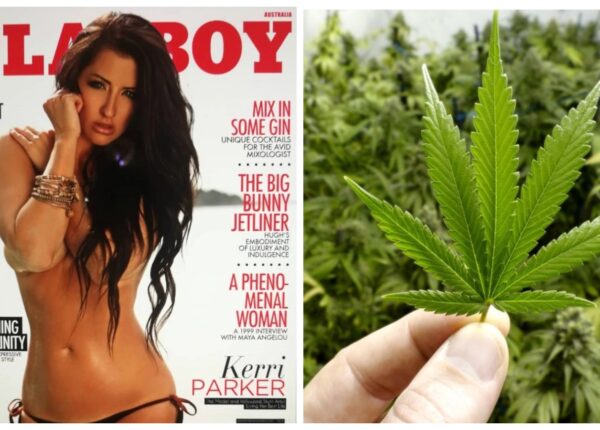 Модель Playboy, которой оставалось жить всего год, излечилась от рака благодаря марихуане