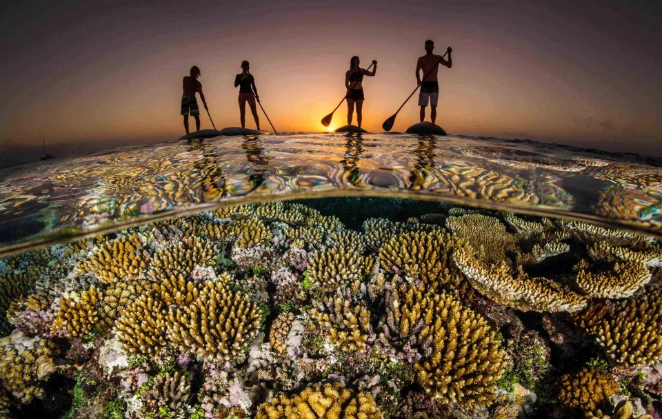 Фотография: Красота и мощь океана на фотографиях победителей конкурса Ocean Photography Awards №9 - BigPicture.ru