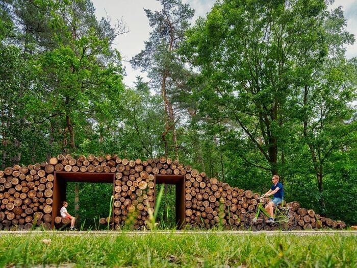 Фотография: Велодорожка в Бельгии позволяет прокатиться по лесу на высоте 10 метров над землей №14 - BigPicture.ru