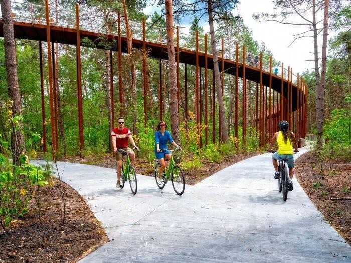 Фотография: Велодорожка в Бельгии позволяет прокатиться по лесу на высоте 10 метров над землей №4 - BigPicture.ru