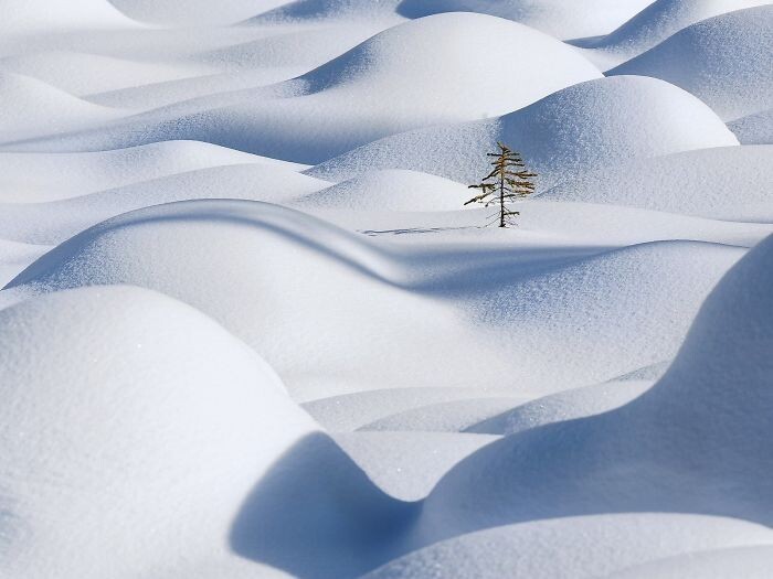 Фотография: Снежные чудеса, которые увидишь раз в жизни №36 - BigPicture.ru