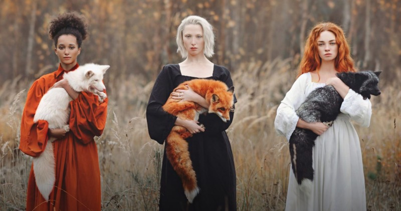 Фотография: Магические фотосессии с животными Анастасии Добровольской №1 - BigPicture.ru