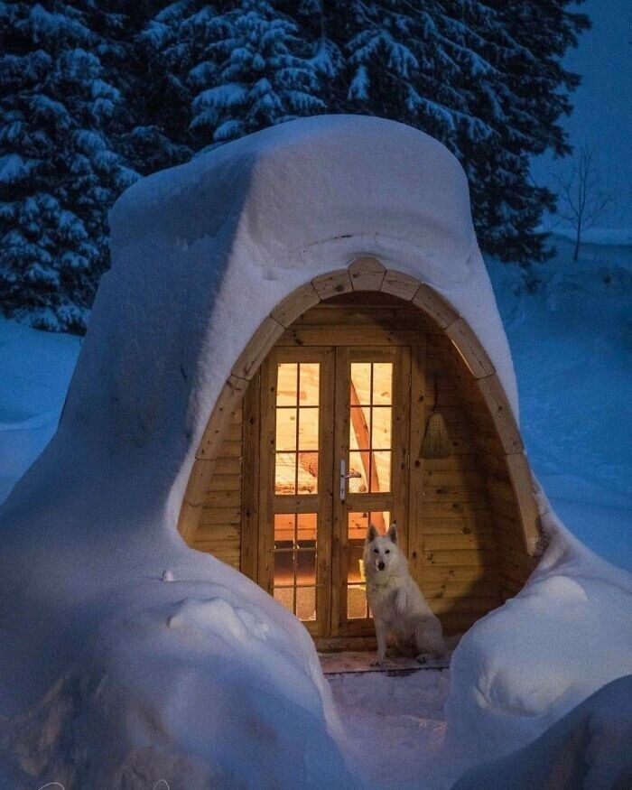 Фотография: Снежные чудеса, которые увидишь раз в жизни №33 - BigPicture.ru