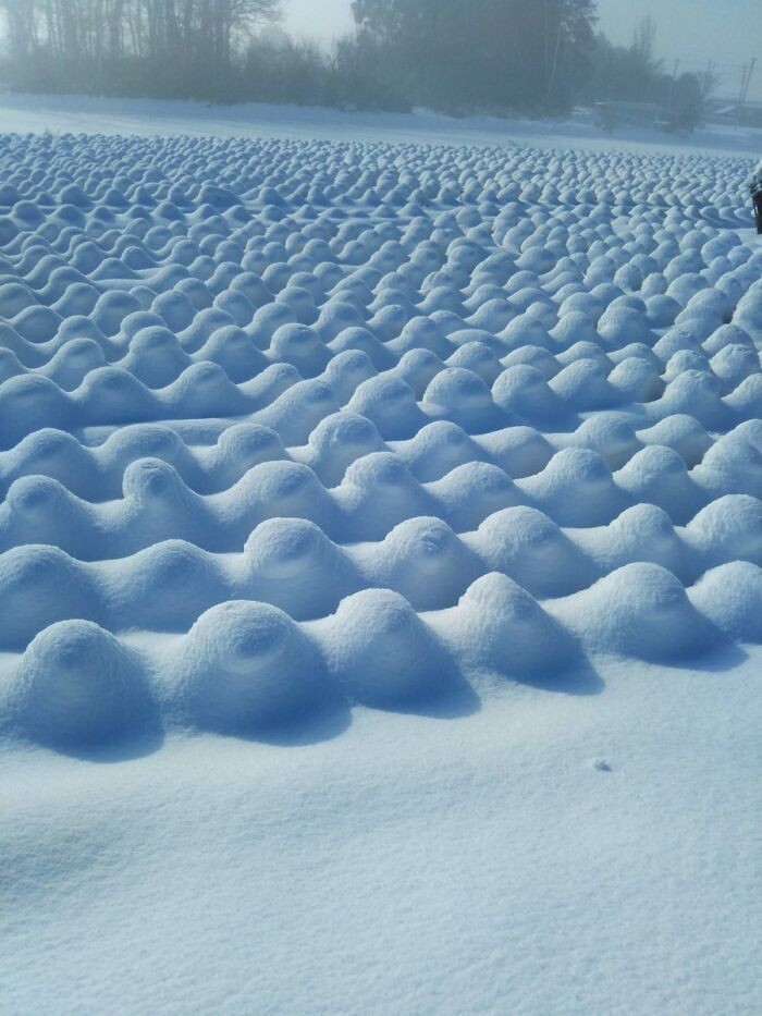 Фотография: Снежные чудеса, которые увидишь раз в жизни №30 - BigPicture.ru