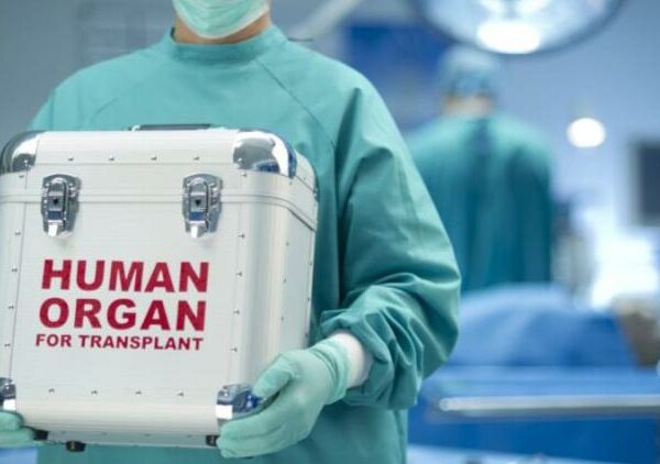 Человек на запчасти: сколько стоит наш организм, разобранный на донорские органы