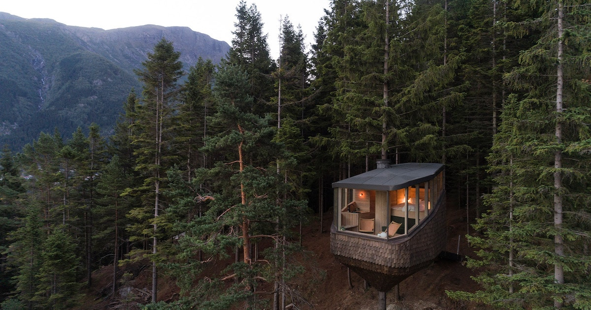 Фотография: Уникальные домики на деревьях Woodnest парят в норвежском лесу №1 - BigPicture.ru
