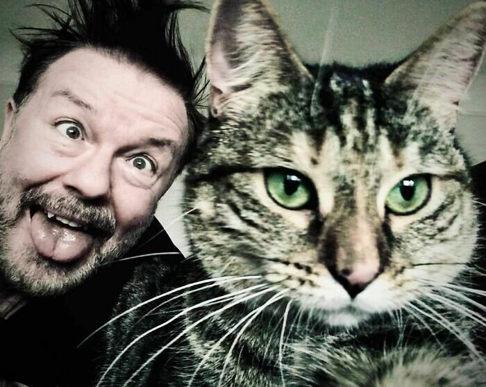 Фотография: Актер Рики Джервейс думал взять кошку на передержку, но та изменила его планы №16 - BigPicture.ru
