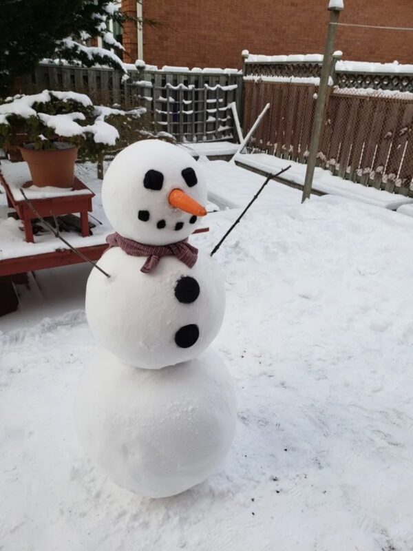 Фотография: Как выглядит идеальный снеговик №3 - BigPicture.ru