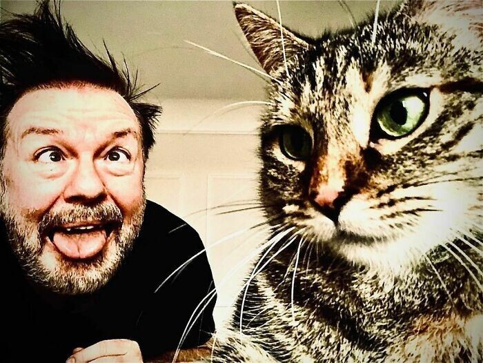 Фотография: Актер Рики Джервейс думал взять кошку на передержку, но та изменила его планы №9 - BigPicture.ru