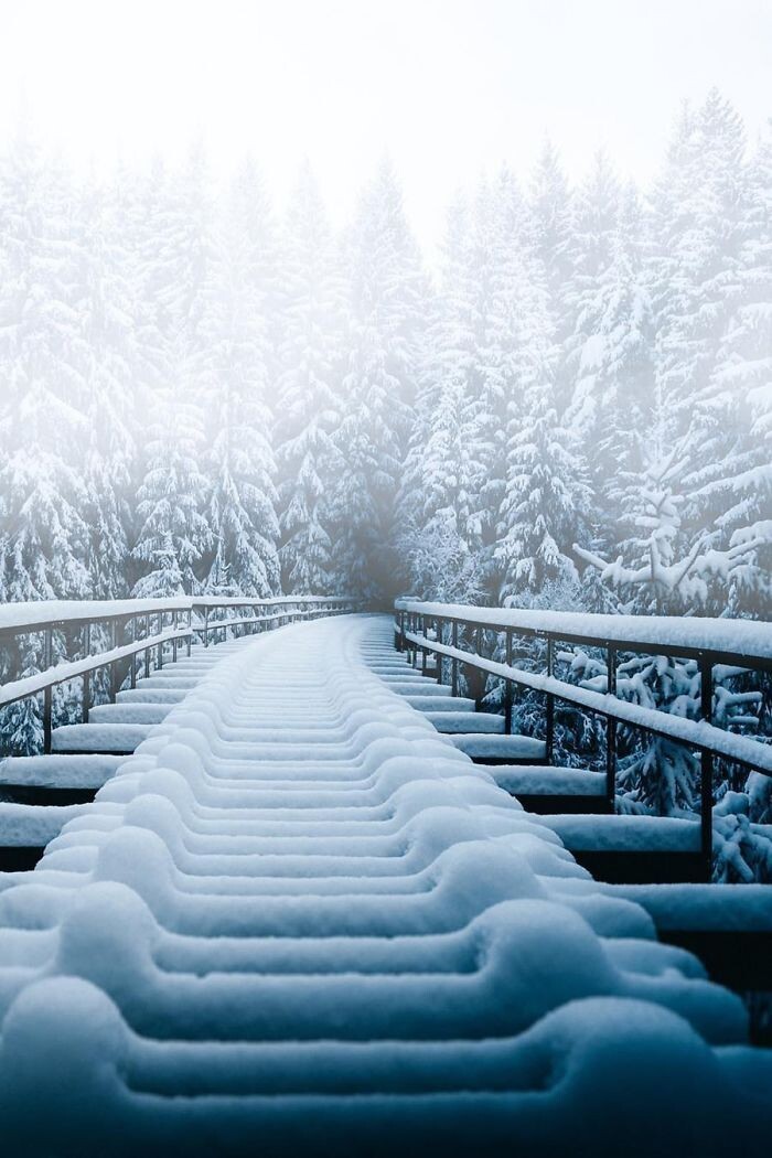 Фотография: Снежные чудеса, которые увидишь раз в жизни №26 - BigPicture.ru