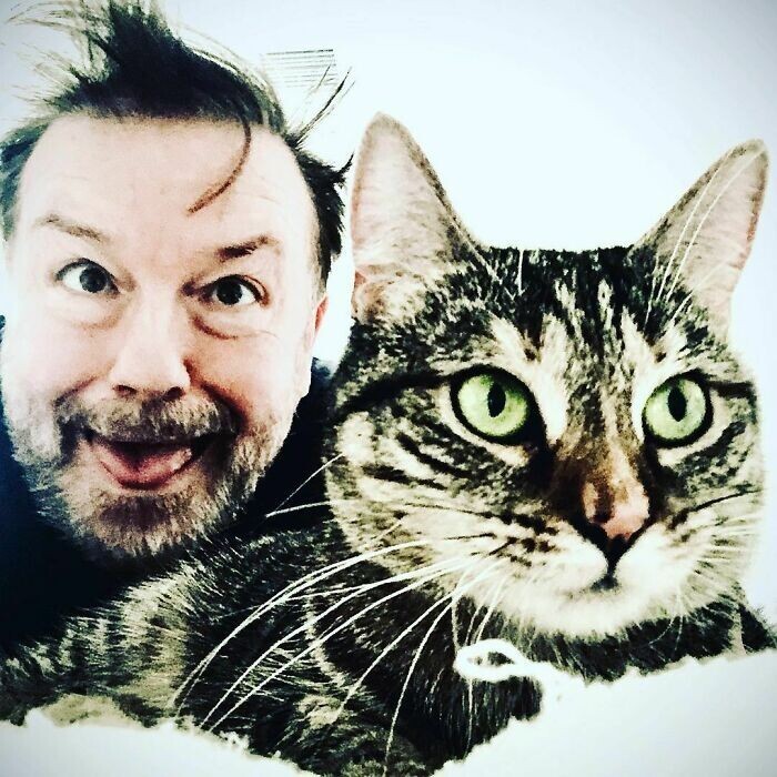 Фотография: Актер Рики Джервейс думал взять кошку на передержку, но та изменила его планы №18 - BigPicture.ru