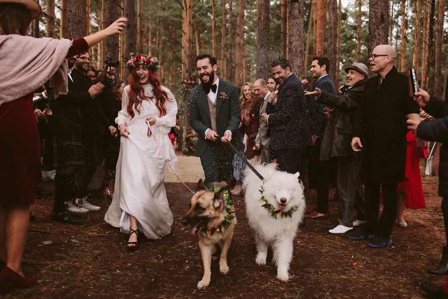 Фотография: 15 лучших свадебных фотографий 2020 года с конкурса Junebug Weddings №5 - BigPicture.ru