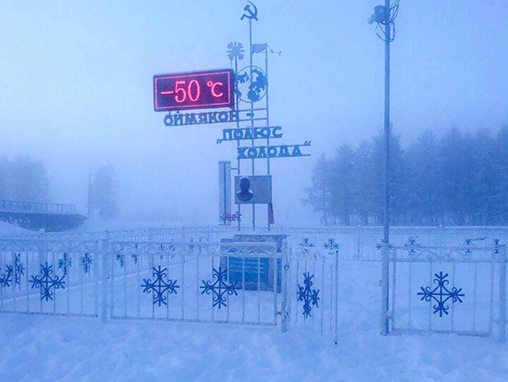 Фотография: В Якутии из-за сильных морозов шьют меховые лифчики для коров №7 - BigPicture.ru
