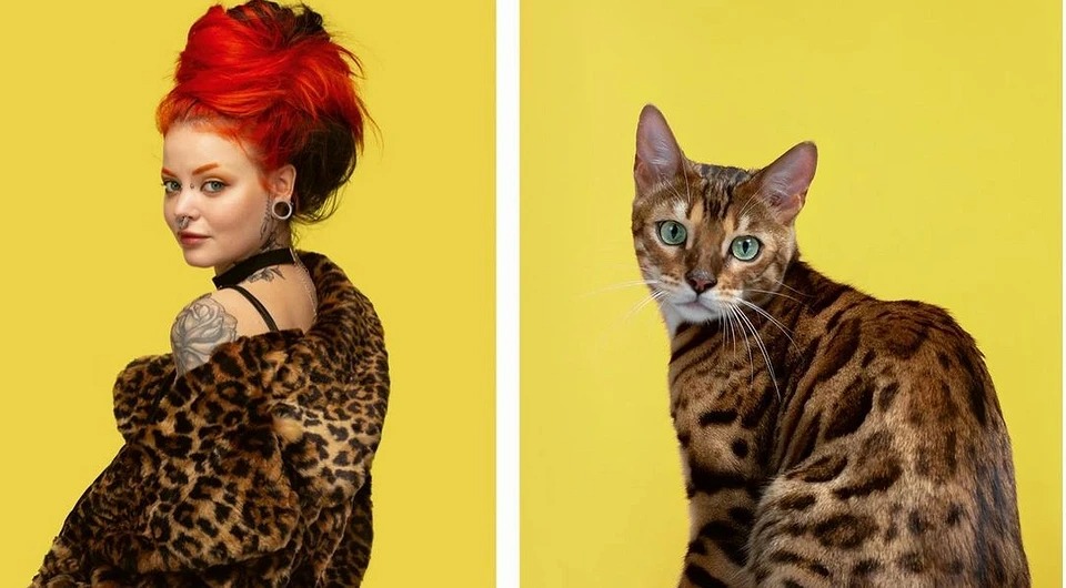 Фотография: Почти не отличить: фотограф показал, как похожи коты со своими хозяевами №10 - BigPicture.ru