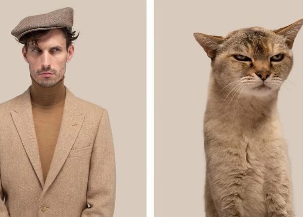 Почти не отличить — фотограф показал, как похожи коты со своими хозяевами