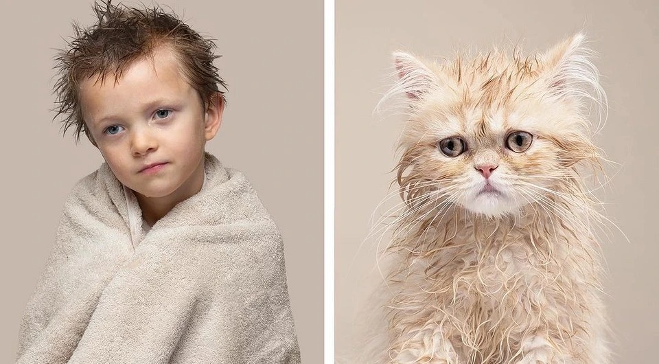 Фотография: Почти не отличить: фотограф показал, как похожи коты со своими хозяевами №17 - BigPicture.ru