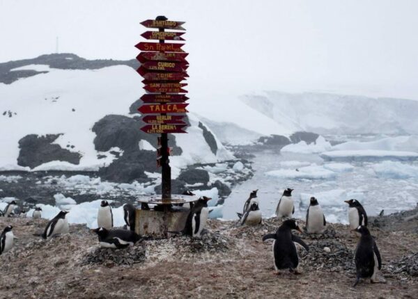 Коронавирус добрался до Антарктиды — теперь пандемия охватила все континенты