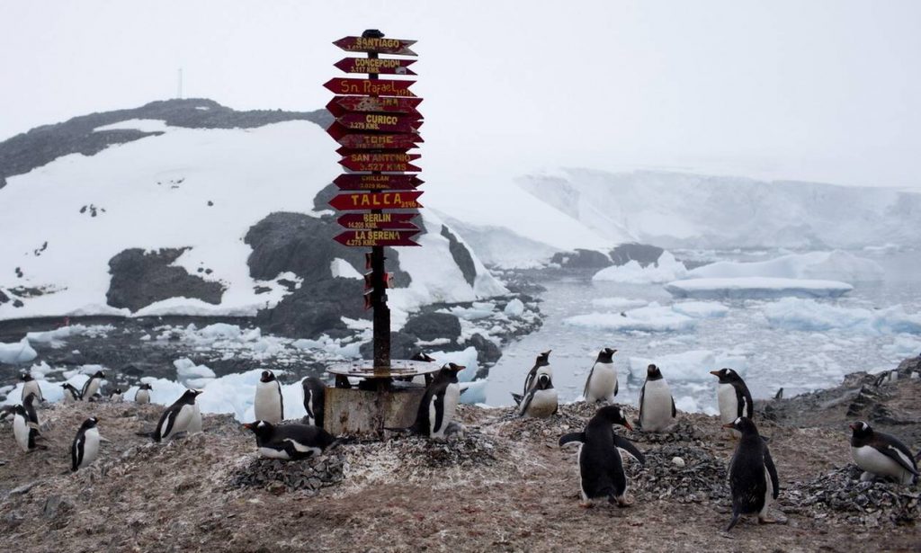 Фотография: Коронавирус добрался до Антарктиды — теперь пандемия охватила все континенты №2 - BigPicture.ru
